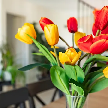 펜션 La Maison Tulipe 5 A Du Touch