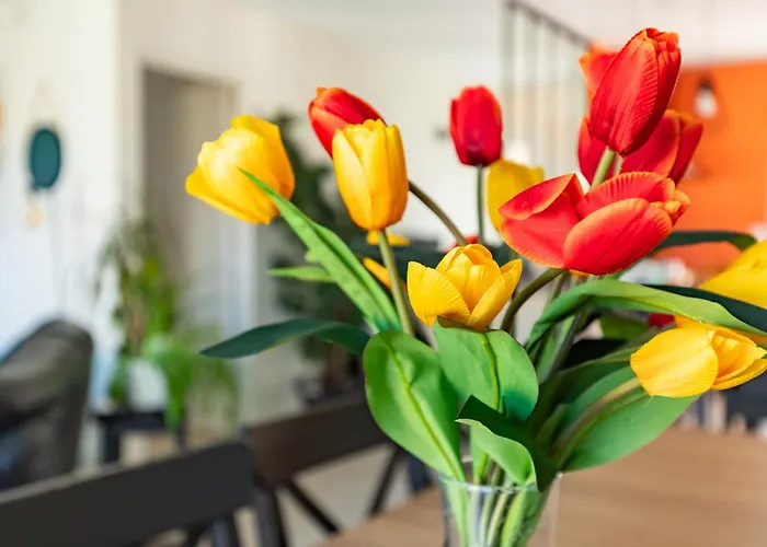 Ferienhaus La Maison Tulipe 5 A Du Touch